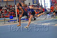 M22 60m häck__0.JPG