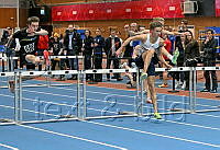 P17 60m häck_9303.jpg