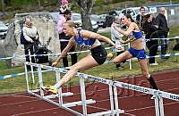 F15 80m häck_5572.JPG