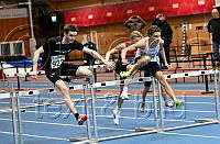 P17 60m häck_9997.jpg