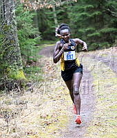 Sylvia Gross__396.JPG