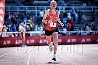 David Nilsson_3710.jpg