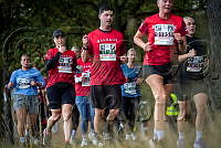 Blodomloppet (3).jpg