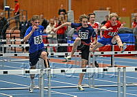 P15 60m häck_9624.jpg