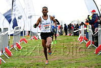 Napoleon Solomon_7545_1.jpg