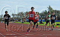 Nils Aspington_7763.jpg