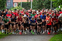 blodomloppet (1).jpg