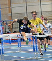 P14 60m häck__7.JPG