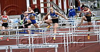 F15 80m häck_5538.jpg