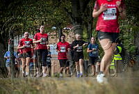 Blodomloppet (2).jpg