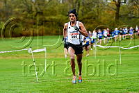 Napoleon Solomon_7543_1.jpg