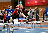 P13 60m häck_9001.jpg