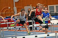 P17 60m häck_990.jpg