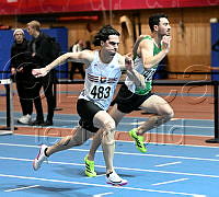 M 60m häck_9369.jpg