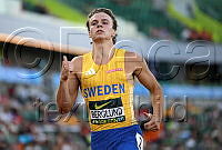 David Berglund__063.JPG