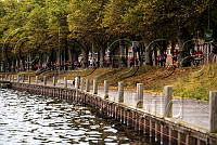 Blodomloppet (4).jpg