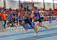 M22 60m häck__9.JPG